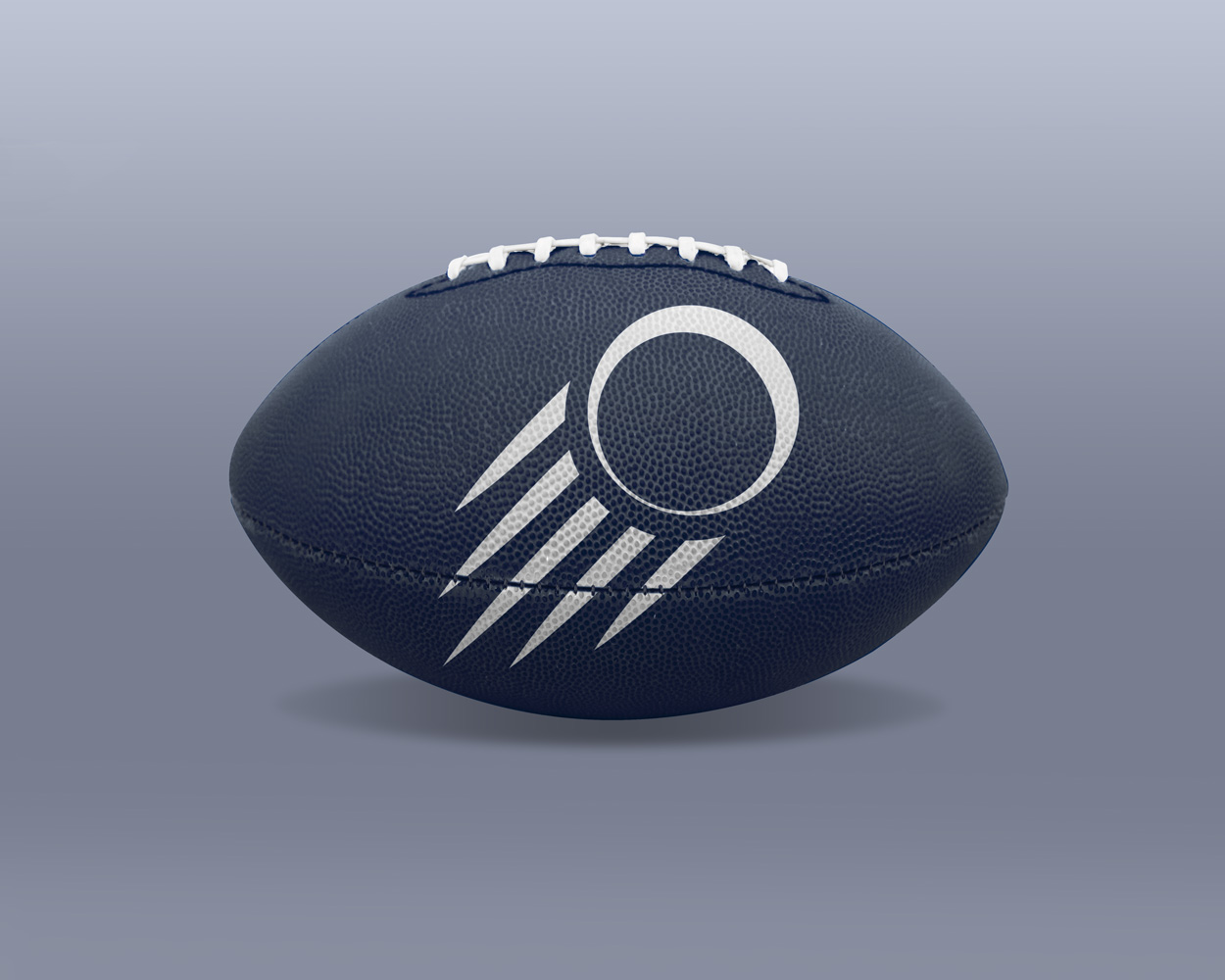 Logo Sportartikelhersteller 1